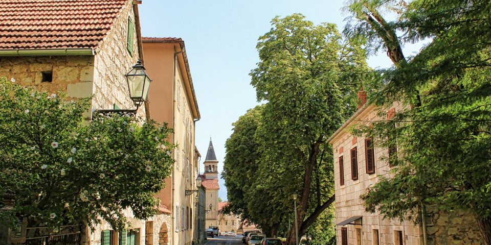 Vrlika121