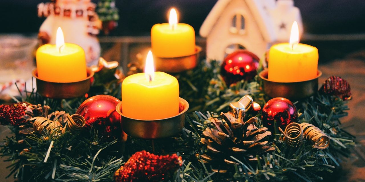 acorn-advent-blur-bright-278508