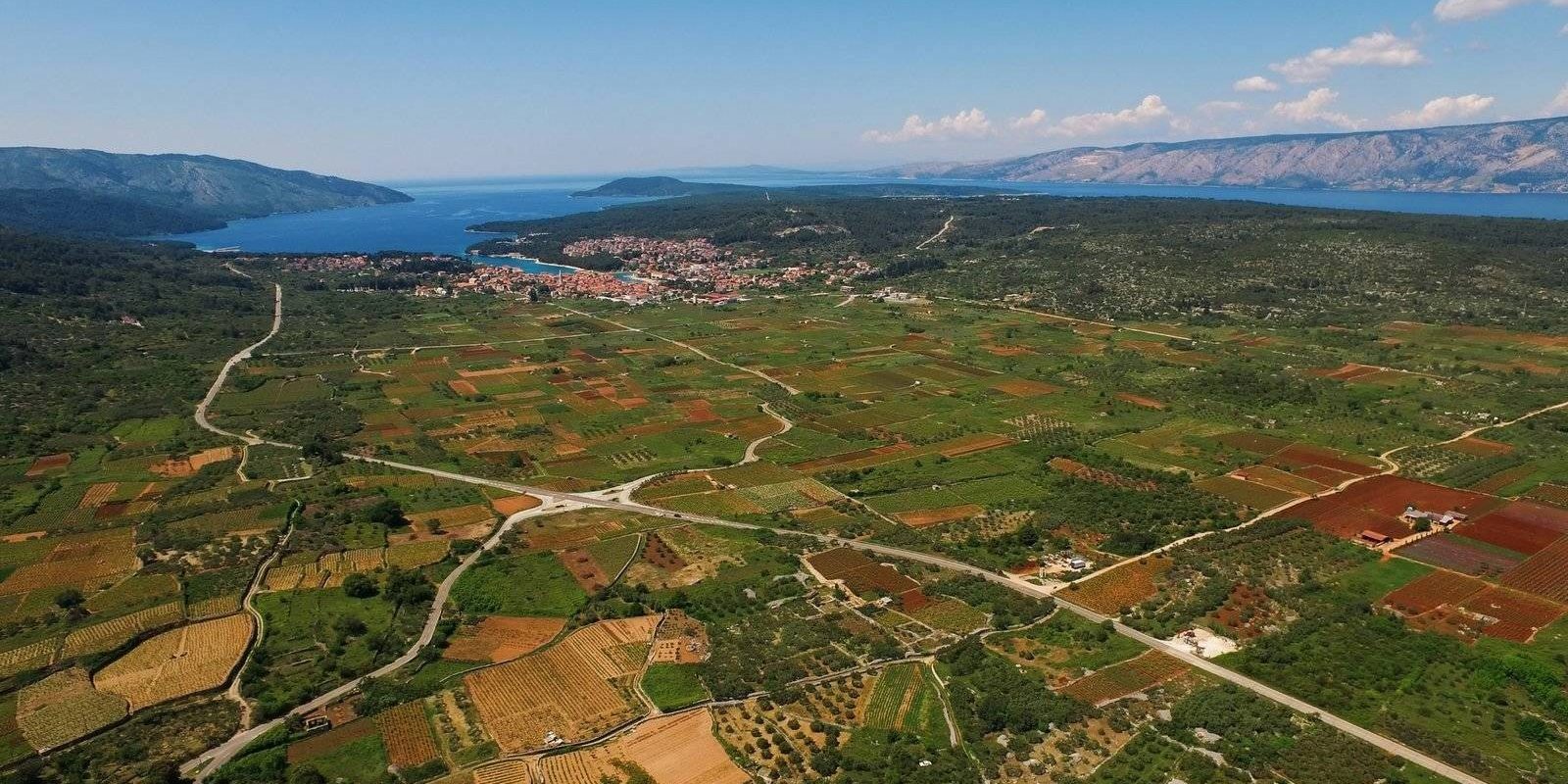 01-hvar-starogradsko-polje-ivo-biocina