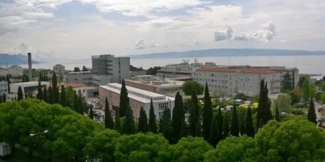 firule1