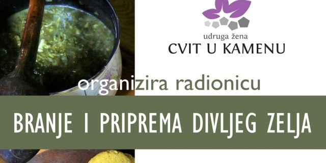 plakat-Zelje-finalni_page-0001