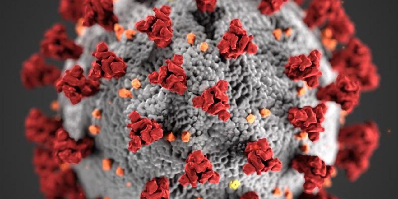 koronavirus2