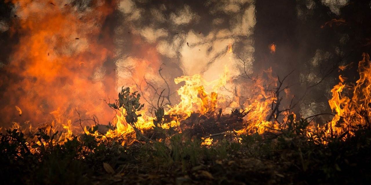 forest-fire-2268729_1280