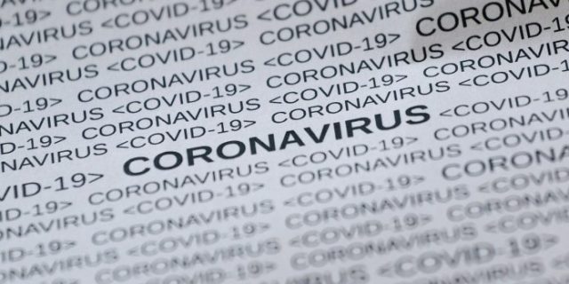 feline-corona-virus-5033326_1280-696×392