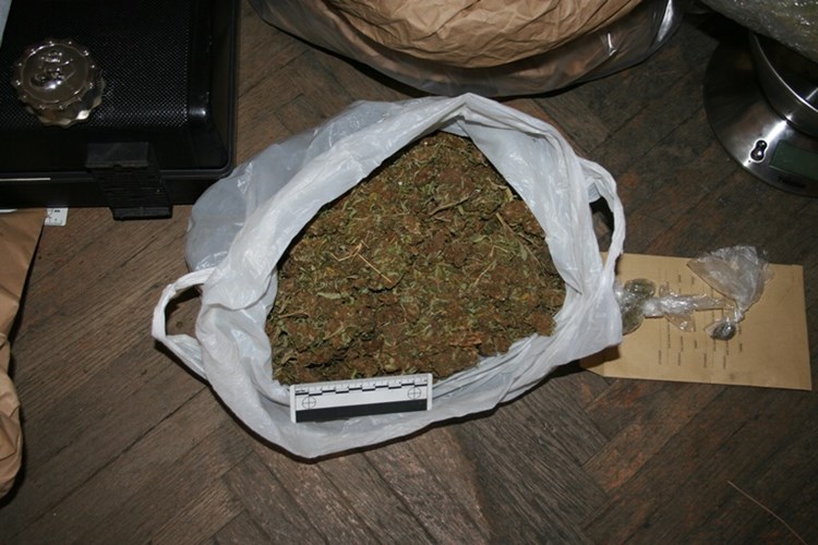 pronađena marihuana 5 galerija