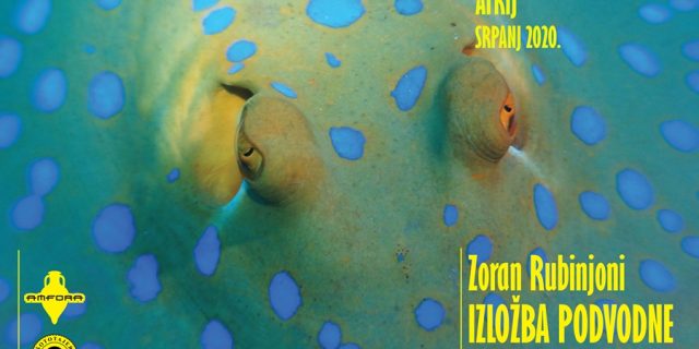 Zoran Rubinjoni_MGT_letak