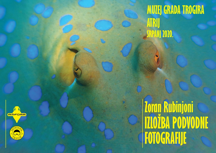 Zoran Rubinjoni_MGT_letak