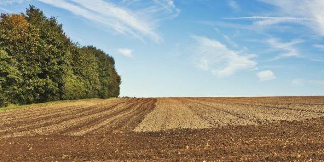 arable-1918990_1280-696×441