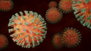 coronavirus-4972480_1280-696×392