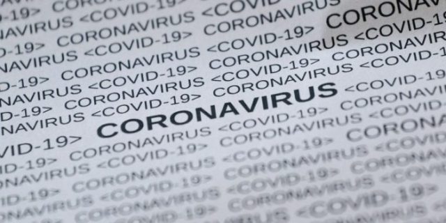 feline-corona-virus-5033326_1280-768×432-1-696×392