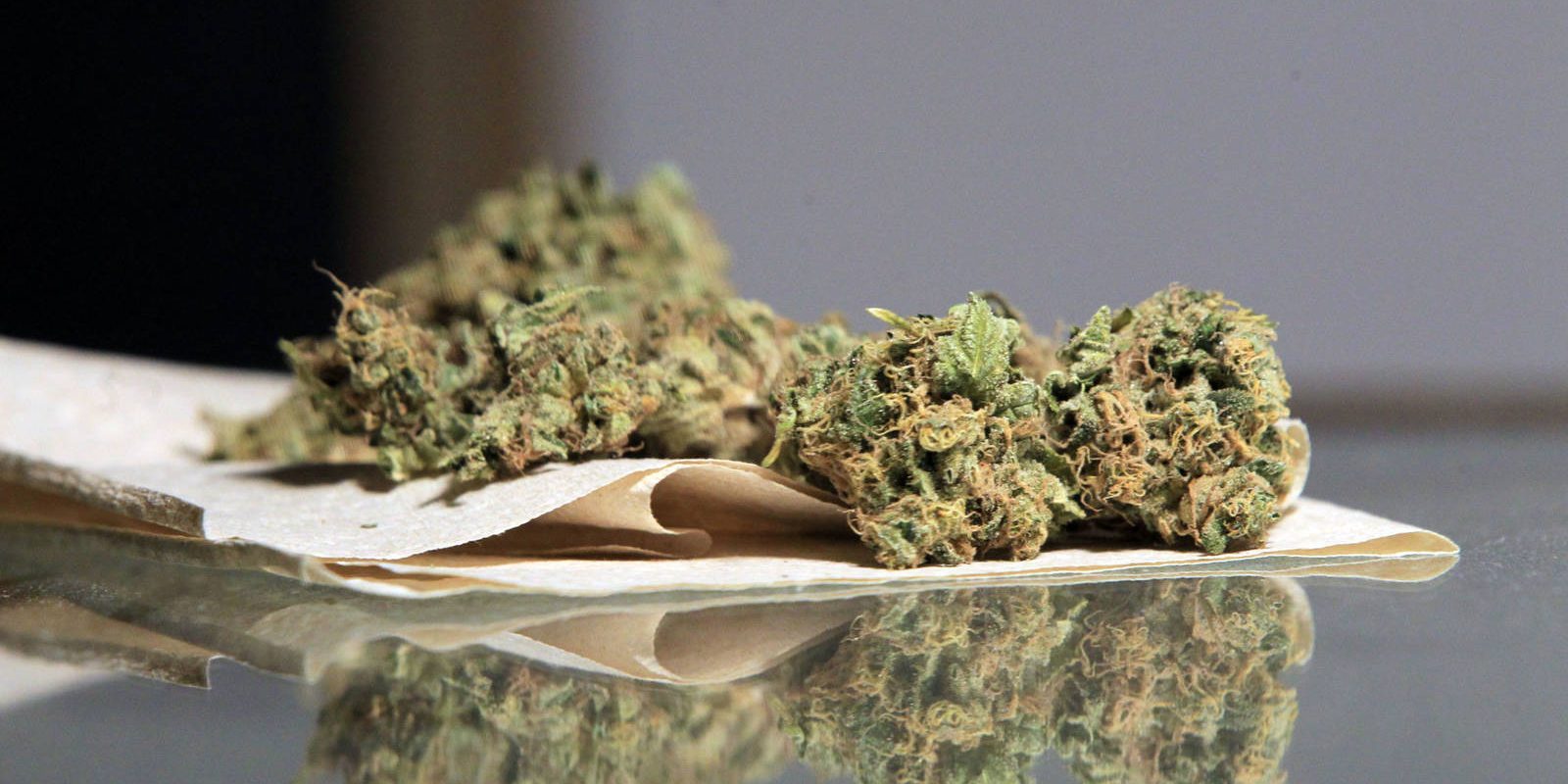 legalicemos-la-marihuana