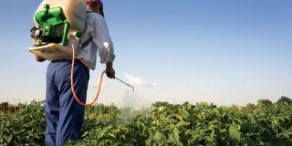 poisonous-pesticides-spain-620×330