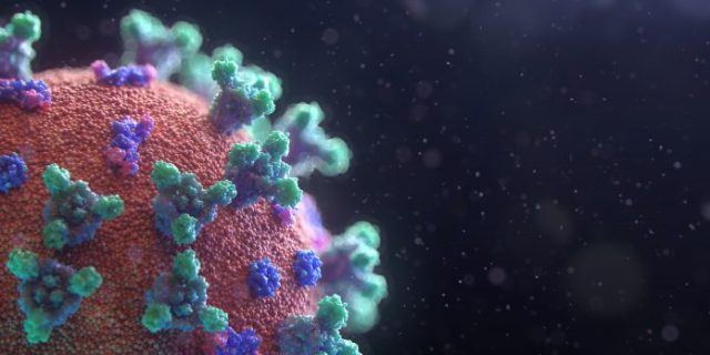 fusion-medical-animation-EAgGqOiDDMg-unsplash-696×392