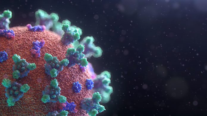 fusion-medical-animation-EAgGqOiDDMg-unsplash-696×392