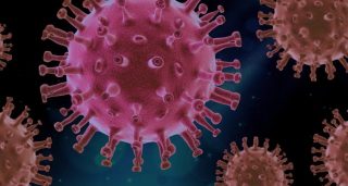 virus-4937553_1280-696×371