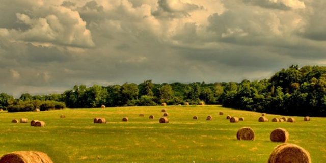 2020_08_17_isplata-696×382