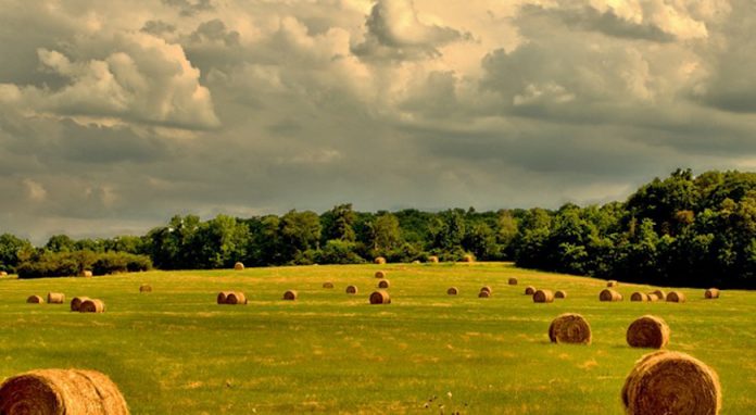 2020_08_17_isplata-696×382