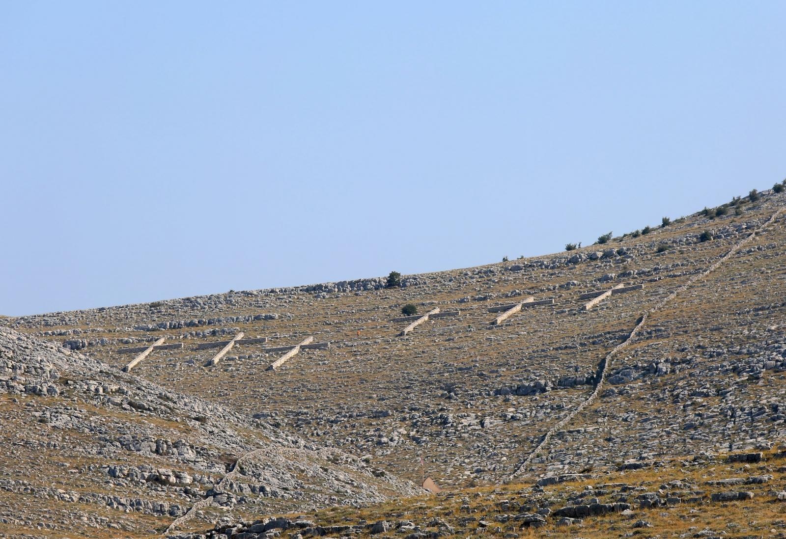PXL_300815_11473127