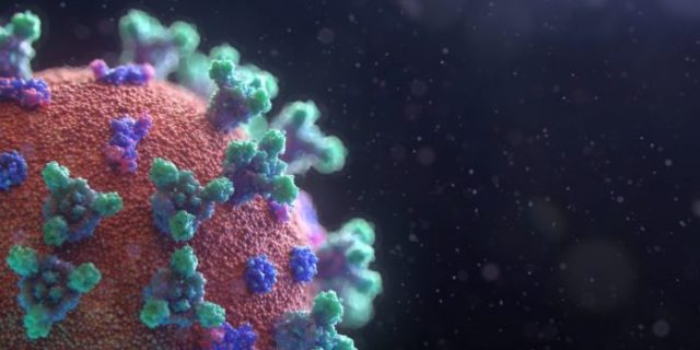 fusion-medical-animation-EAgGqOiDDMg-unsplash-768×432-1-696×392