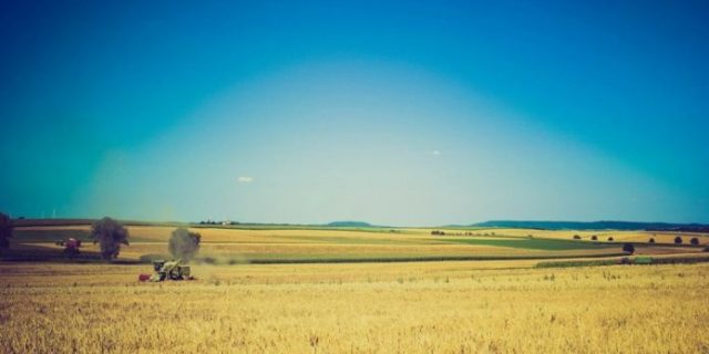 2020_08_14_mjera-696×464