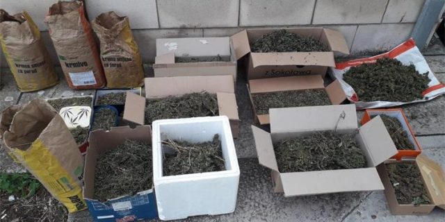 Vis 25 kg marihuane 2