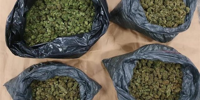 marihuana 17 kg 02.10.