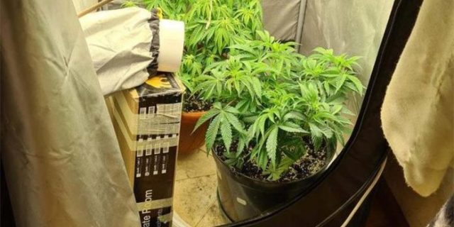 droga-696×464