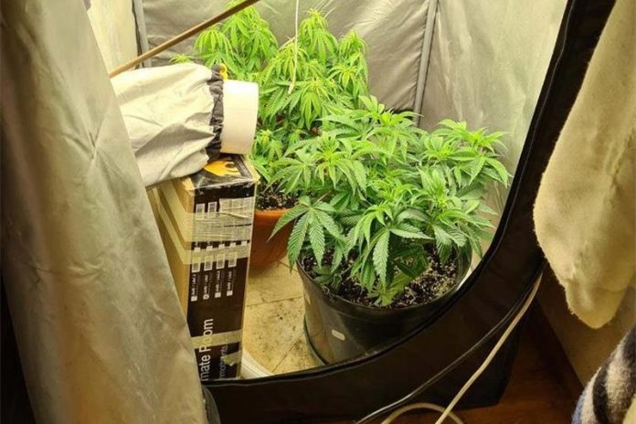 droga-696×464