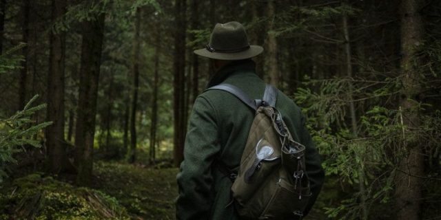 forest-4674703_1280-768×512