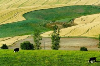 2020_12_8_natjecaj-696×464