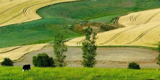 2020_12_8_natjecaj-696×464