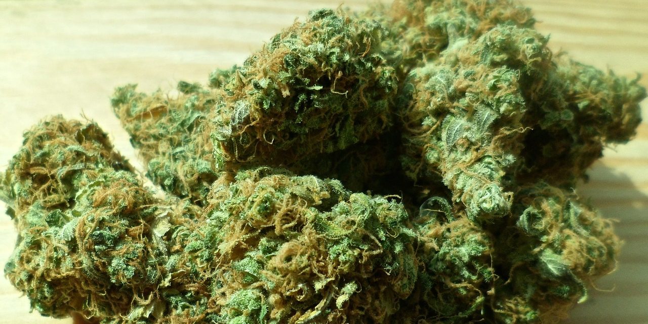 cannabis-448661_1280