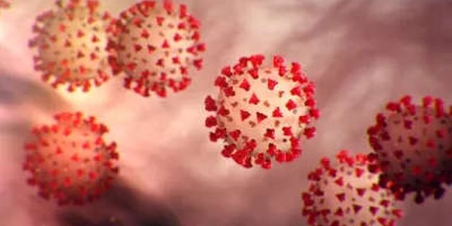 Coronavirus