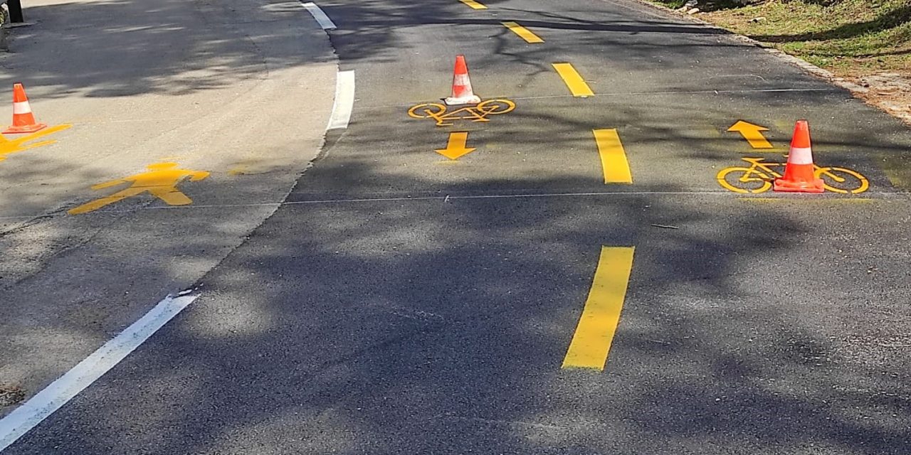 173752100_4190038501028429_244647478074666194_n