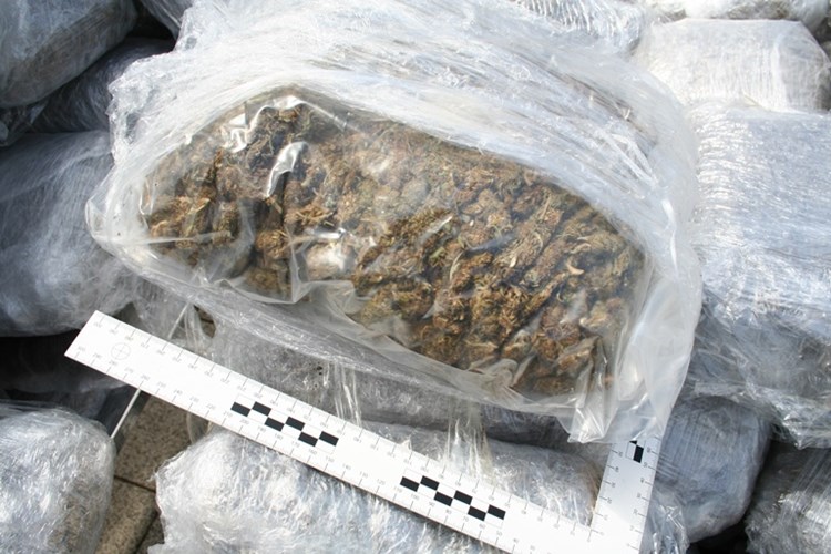 marihuana 8 galerija 4