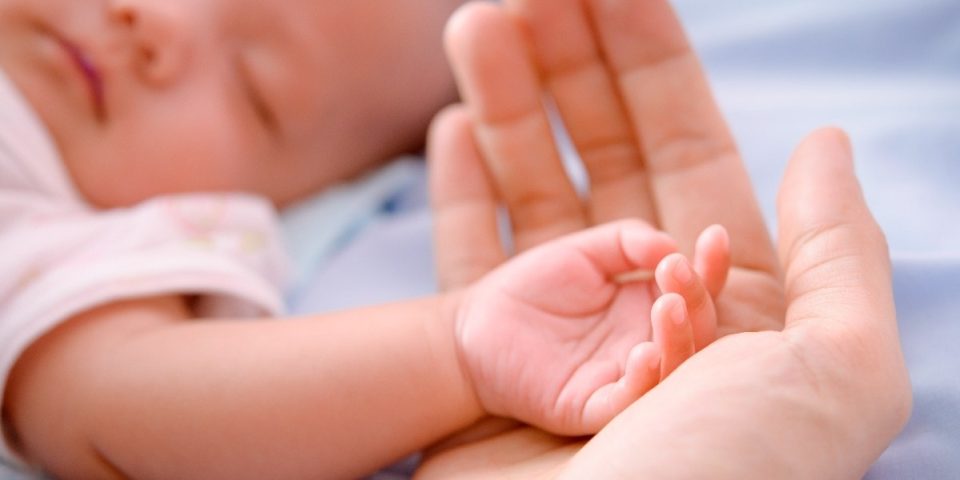 shutterstock_199602737