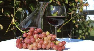 20201105vino