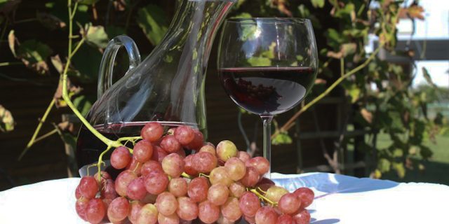 20201105vino