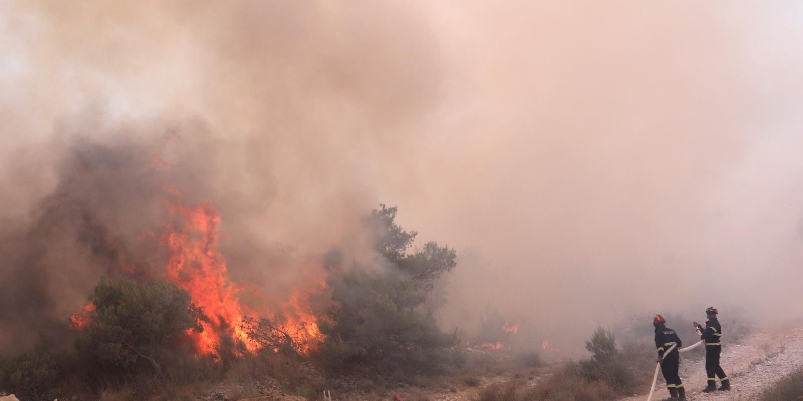 Kod Segeta Gornjeg buknuo veliki požar