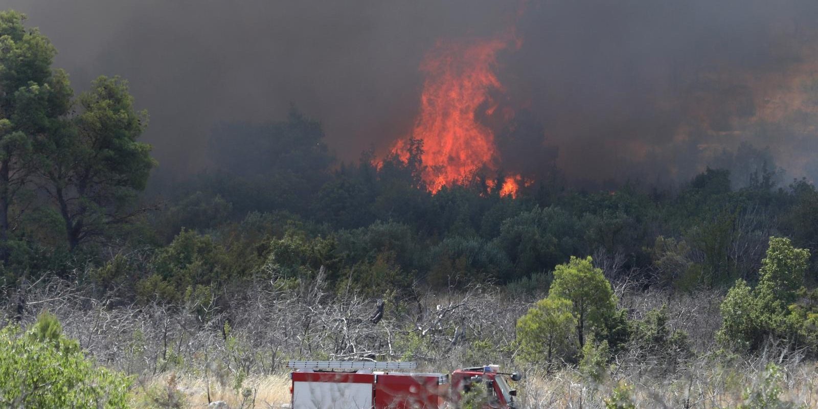 Požar na području Vrpolja gase 43 vatrogasca i dva kanadera