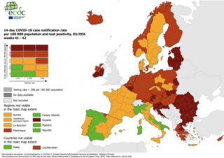 2021w42_COVID19_EU_EEA_Subnational_Combined_traffic-768×542