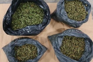 marihuana 17 kg II