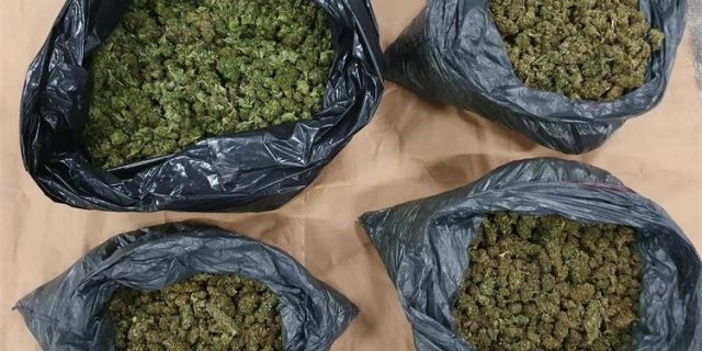 marihuana 17 kg II