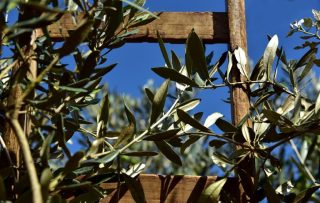 wooden-ladder-3803017_1280-768×488