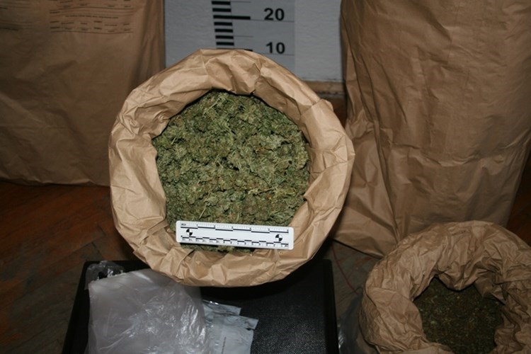 Droga-usitnjena-marihuana