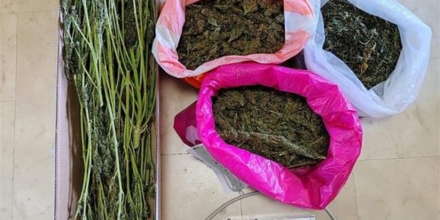 marihuana-2.5.-696×464