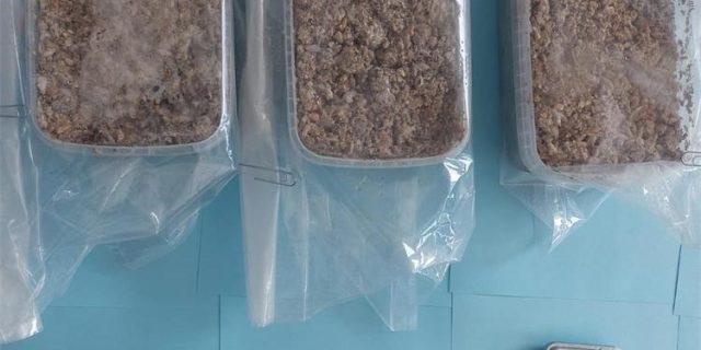droga 060622