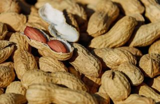 nuts-g8920bc96a_1280-696×453