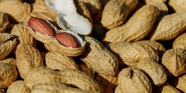 nuts-g8920bc96a_1280-696×453