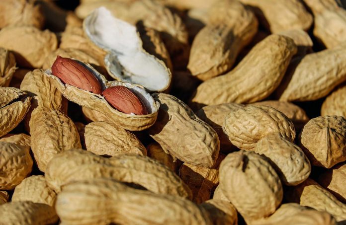 nuts-g8920bc96a_1280-696×453